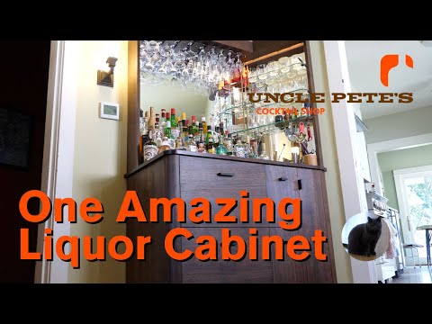 Video: Liquor Cabinet: Satu-satunya Aplikasi Cocktail Yang Anda Perlu