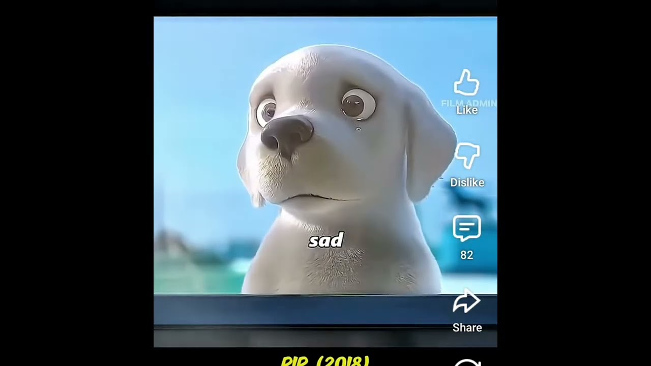 Emotional dog story@Rad boy