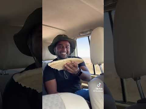 Oromia Oromomusic Oromocomedy Oromiyaa Vitsoromo Oromo Balemountain Habesha Travel Duet