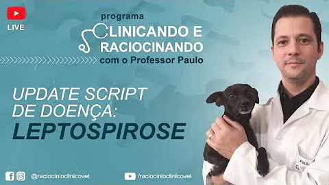 Como saber se o cachorro está com leptospirose?