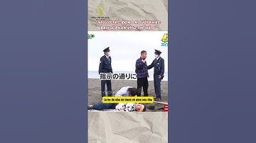 Nếu lỡ tác động người khác, bạn sẽ phản ứng thế nào #tomtatnhanh #haihuoc #funny #gameshow #shorts