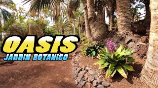 OASIS JARDIN BOTANICO Walking Tour - Oasis Botanical Garden - Fuerteventura - Canary Islands (4k)