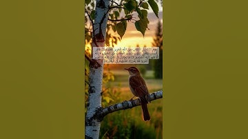 #quran #راحة_نفسية #تلاوة_خاشعة #قرآن #اكسبلور #سورة_غافر