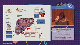 Módulo II - Aspectos fisiopatológicos del hígado no graso no alcohólico