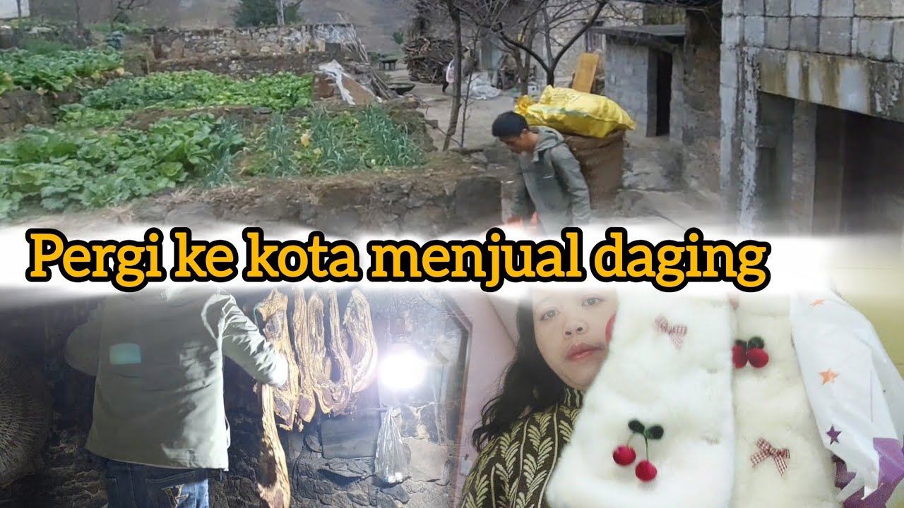 menjual daging ke kota kunming dapat membeli baju anak