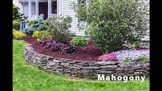 ROUGH DRAFT Introducing Dark Brown Mulch