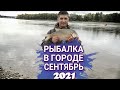 Рыбалка Иртыш. ФИДЕР Омск сентябрь 2021