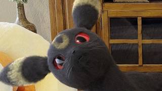 Which Umbreon is real? Help me!