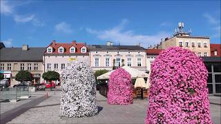 Bens Tours Oswiecim Old Market Square