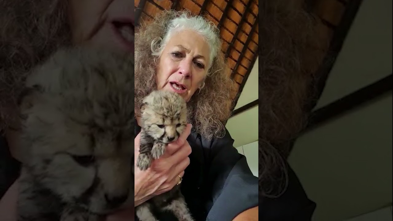 Dr. Laurie Marker Marks Special Anniversary YouTube