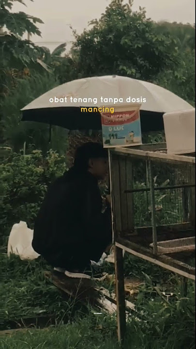 apapun masalahnya mancing solusinya 😂 #shorts #mancing