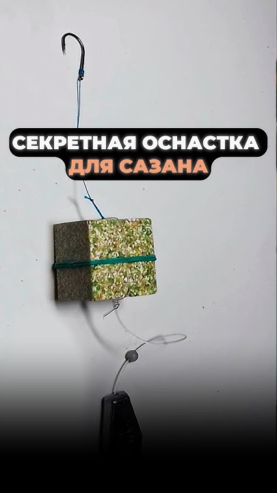 СЕКРЕТНАЯ ОСНАСТКА НА САЗАНА #рыбалка #рыба #насадкадлярыбалки #сазан ...