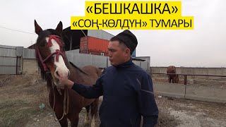 “Соң-Көл”: “Бешкашка” даяр, биз дагы даяр