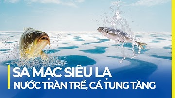 "SA MẠC" LẠ NHẤT THẾ GIỚI: MƯA ÀO ẠT, CÁ BƠI LỘI