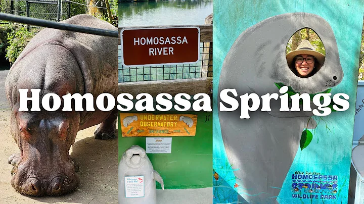 Homosassa Springs State Park VLOG [Part 5] Florida...