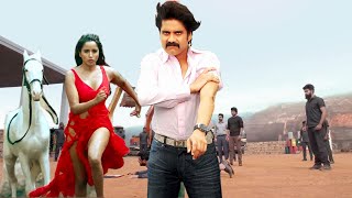 KING - South Indian Full Movie Dubbed In Hindustani | Nagarjuna, Trisha Krishnan, Srihari, Arjan