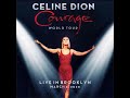 Celine Dion - My Heart Will Go On (Live in Brooklyn)