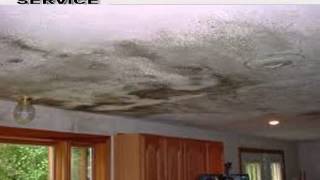 Storm Damage Stuyvesant Ny 12173 Companies