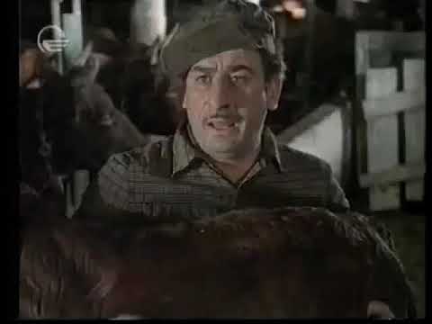 რა ნომერია? რამდენი დღისაა?