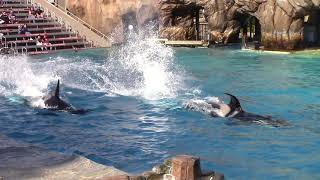 Makani and Shouka Depth Charges (Seen during Orca Encounter on 11-14-20)