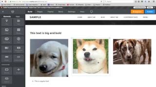 How to add text and images to your Weebly site