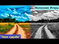 08.05.2022.Колесник Игорь ''Твоя судьба''