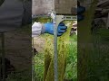 Capturing a Swarm of Japanese Honeybees High Up in the Trees