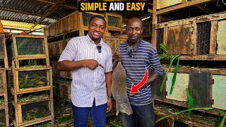 How To Start a Colony of Grasscutter Farm as a Beginner in Ghana with GHS1500($120.29) - DETAILED!