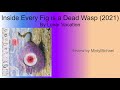 Inside Every Fig is a Dead Wasp (2021) by Lunar Vacation - Minty Music