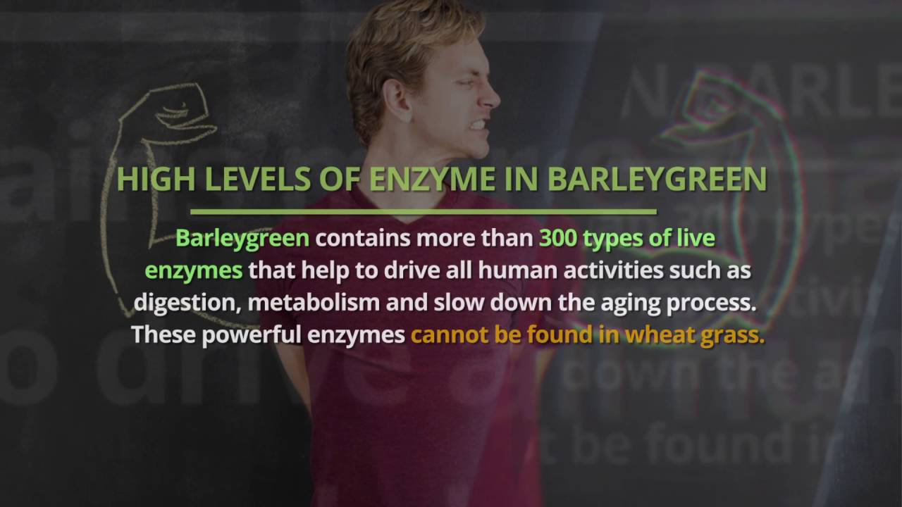 Wheatgrass vs Barley Grass Malaysia Which One Is Better? YouTube