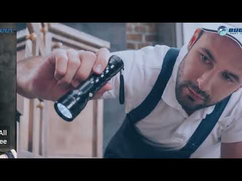 affordable pest removal