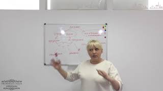 Построение лекала с отрезной и не отрезной чашкой. Построение лекала с отрезной и не отрезной чашкой.