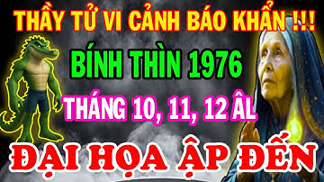 Cảnh Báo Chấn Động Từ Thầy Tử Vi: Bính Thìn 1976 TRÁNH NGAY ĐIỀU NÀY 3 Tháng Cuối Năm 2025!