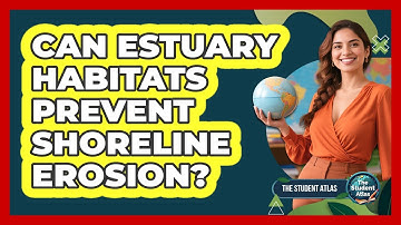 Can Estuary Habitats Prevent Shoreline Erosion?