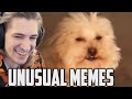 xQc Reacts to UNUSUAL MEMES COMPILATION V125