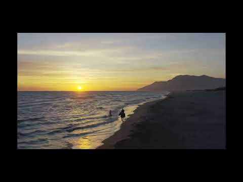 دايس ما بقفش