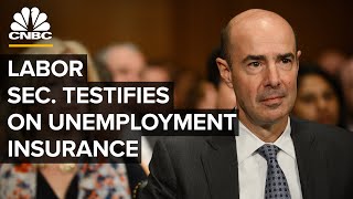 Labor Secretary Scalia testifies on unemployment insurance amid Covid-19 ⁠— 6/9/2020