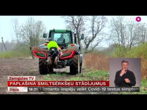 Video: Smiltsērkšķis No Lokhovye ģimenes