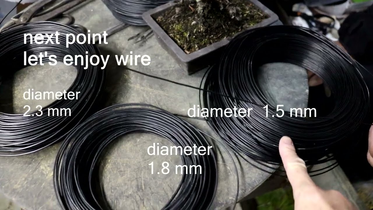 Bonsai how to wire. master cut & wire the pine tree.