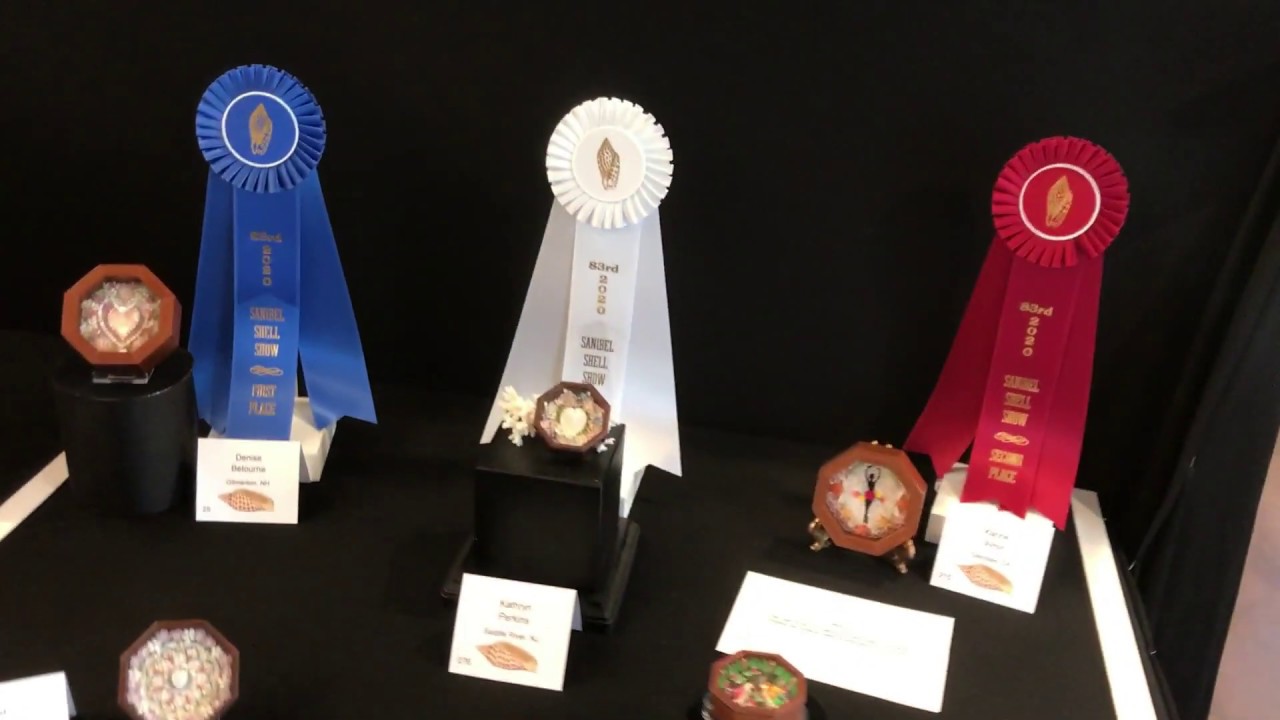 Sanibel Shell Show 2020!  (Comment with your favorite exhibit!!)