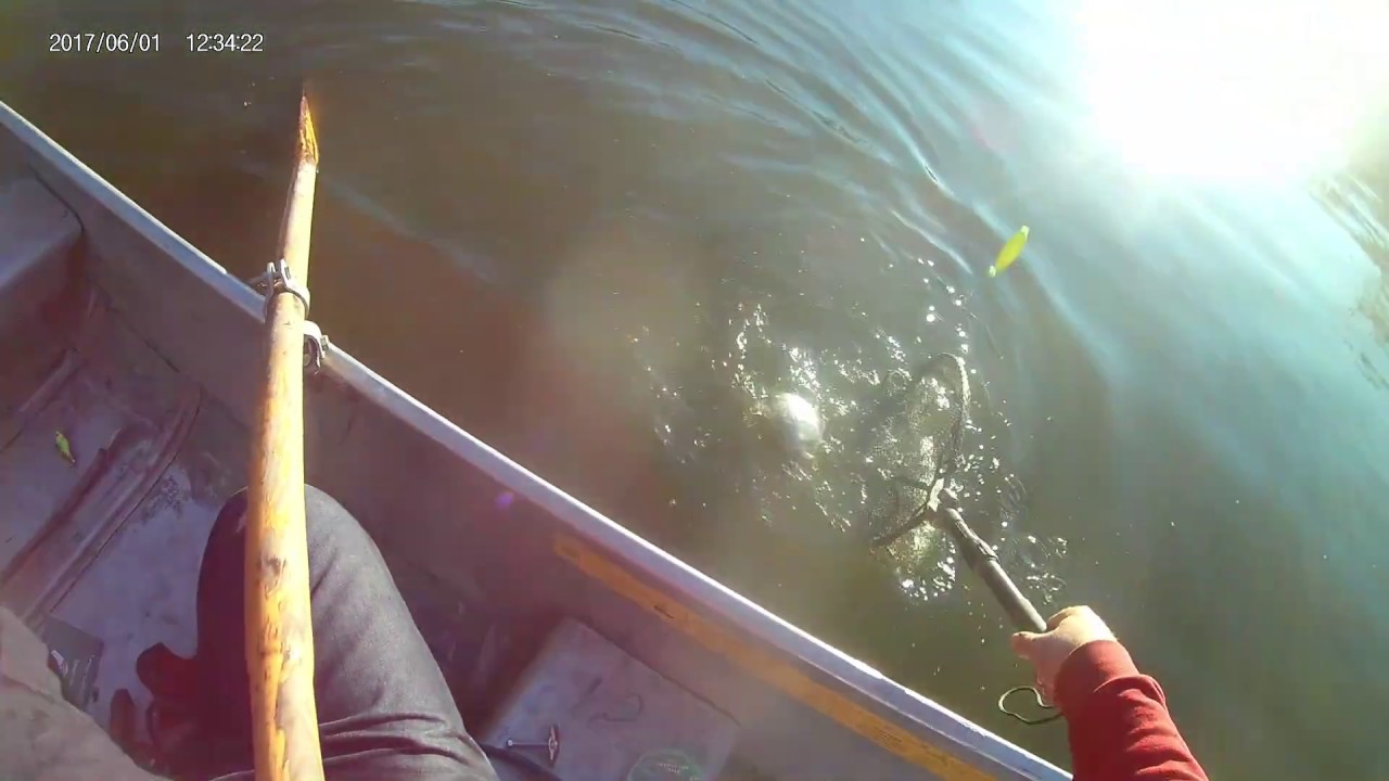 Branched Oak Lake Crappie and Bluegill Fishing YouTube