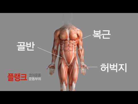 내 몸의 중심 코어운동 바로알기 [건강플러스]