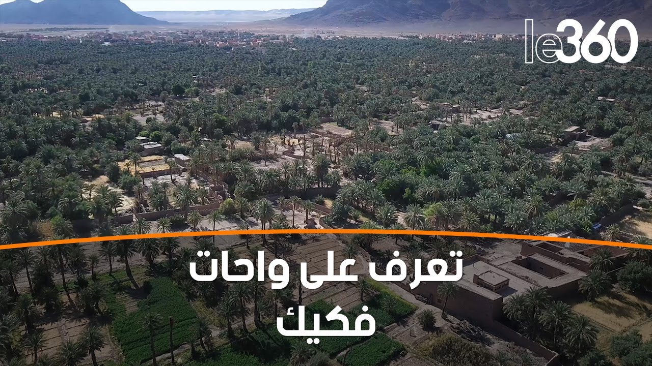 مشاهد حصرية من الأعلى.. تعرف على واحات فكيك ذات الأهمية الإيكولوجية