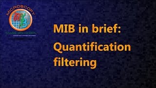 MIB in brief: Quantification filtering