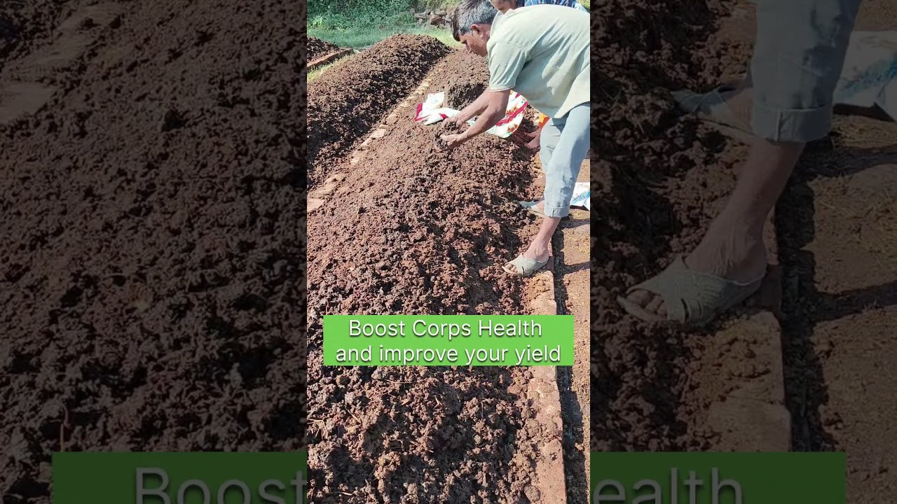 Boost Corps Health and improve your yield 