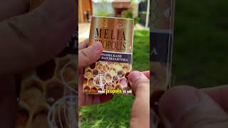 Download Lagu Melia propolis asli original kemasan 55ml, bisa order disini. #meliapropolis #propolis MP3