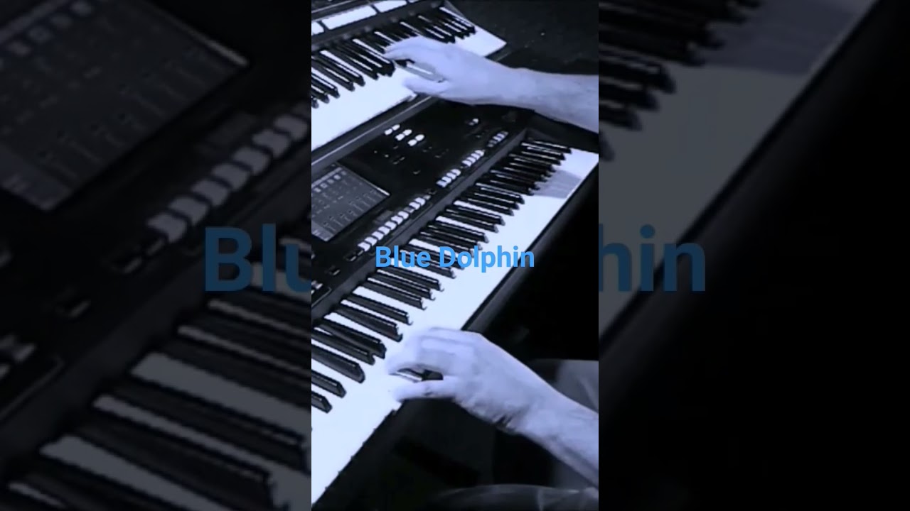 Watch #robertozeolla #yamahagenos #shorts #short #bluedolphin on YouTube Watch #robertozeolla #yamahagenos #shorts #short #bluedolphin on YouTube