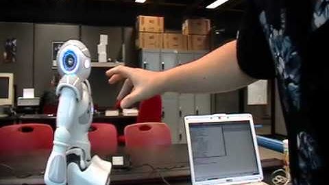 BorregosNao - static equilibrium