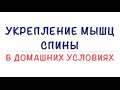 Укрепление мышц спины в домашних условиях, когда нет времени