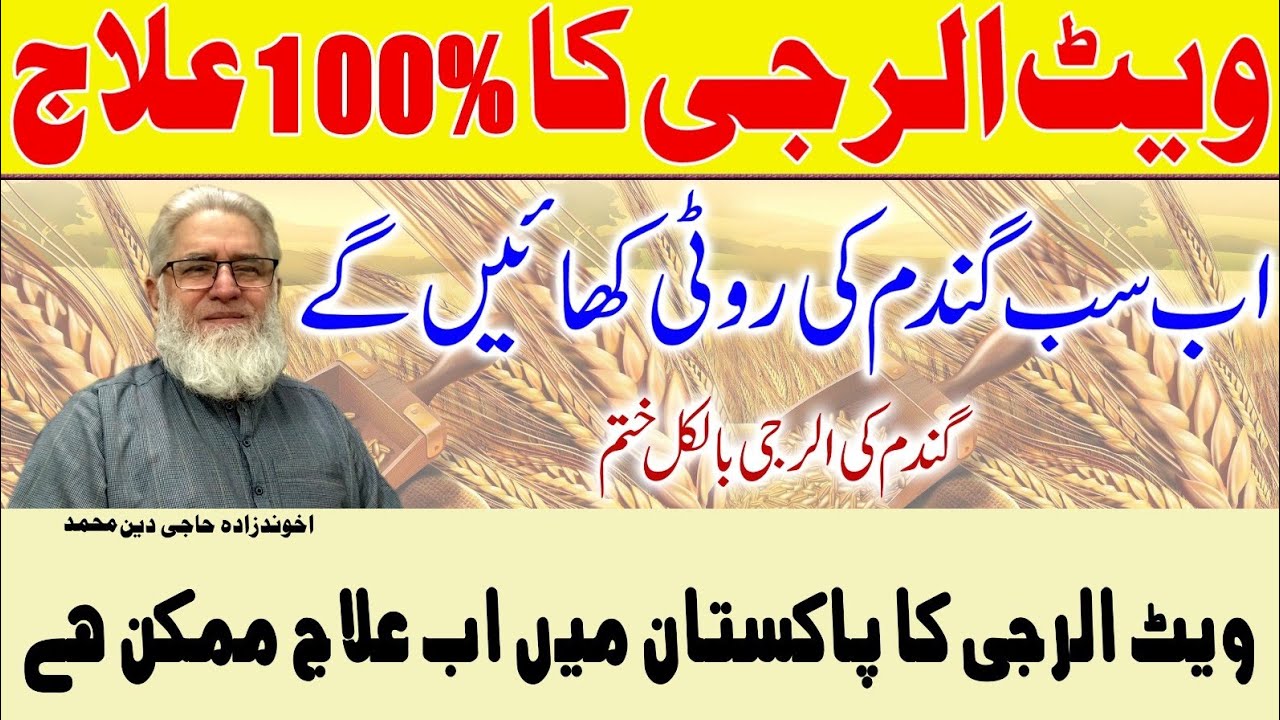 Wheat Allergy Treatment By Akhund Zanda Haji Deen Muhammad YouTube wheat-allergy-treatment-by-akhund-zanda-haji-deen-muhammad-youtube